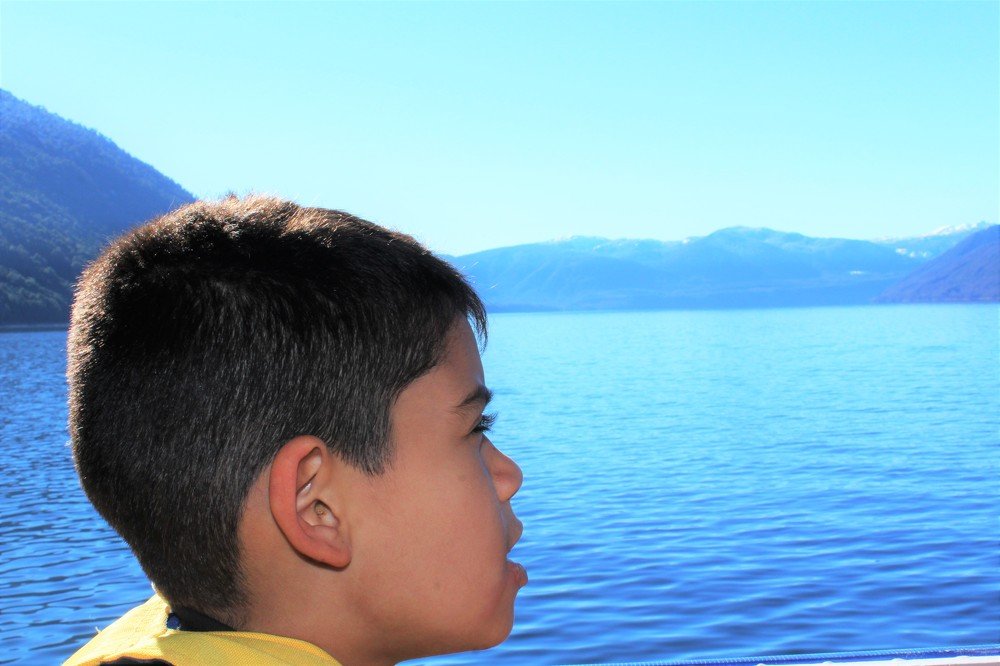 Фотография автора OSMIR ZANETTE