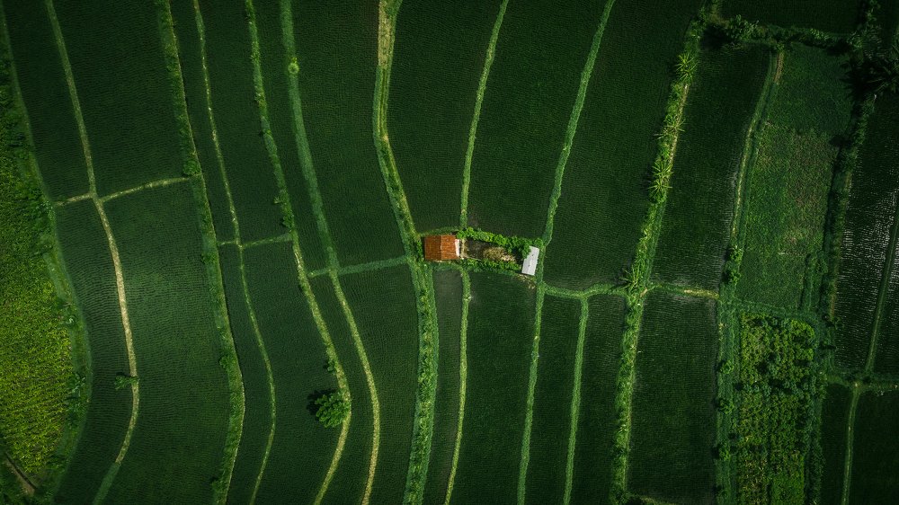 Photograph by Алексей Бойко