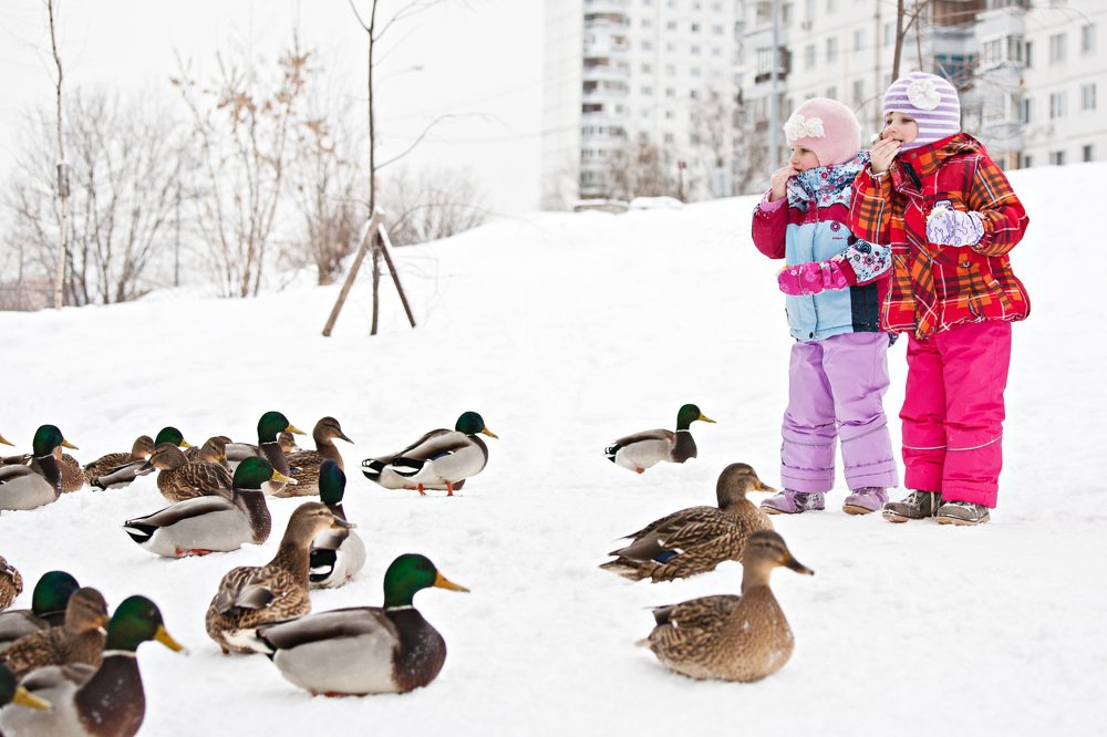 Photograph by Ольга Мурзина