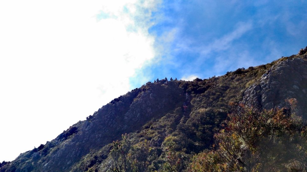 Photo #4112720