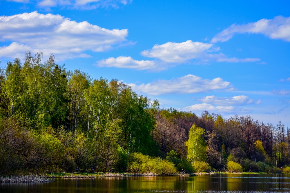 Photograph by Никита Червинский