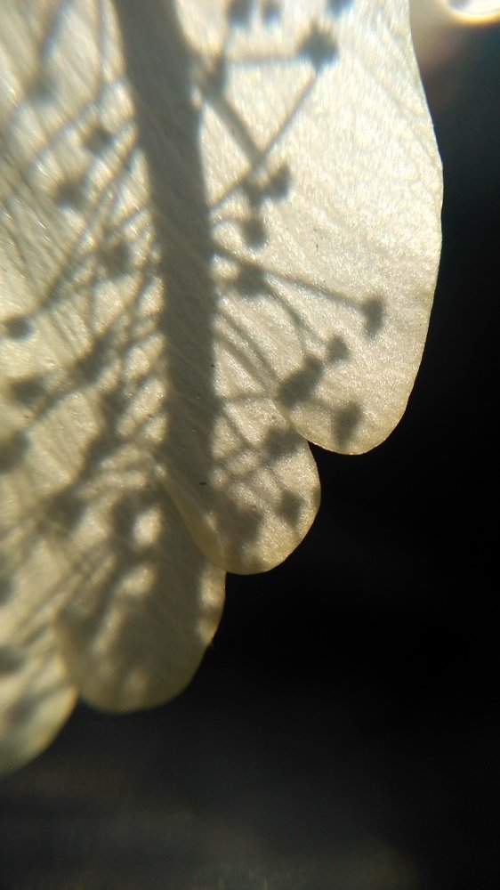 Фотография автора Parag Purkar