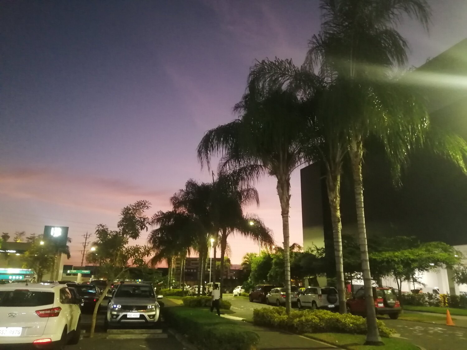 Photo #4112977