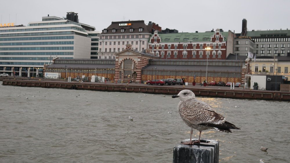Photograph by Алина Голубева