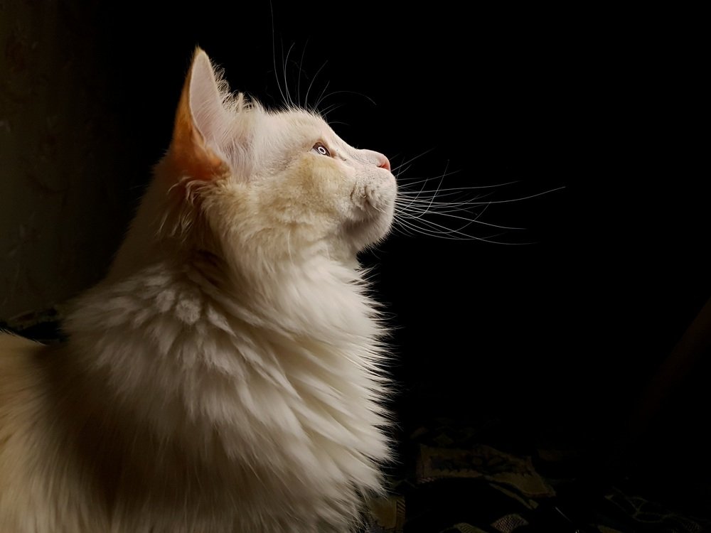 Photograph by Янина Рейфер