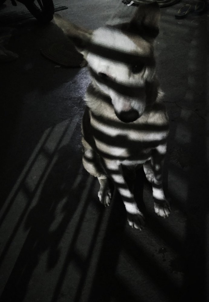 Фотография автора Parag Purkar