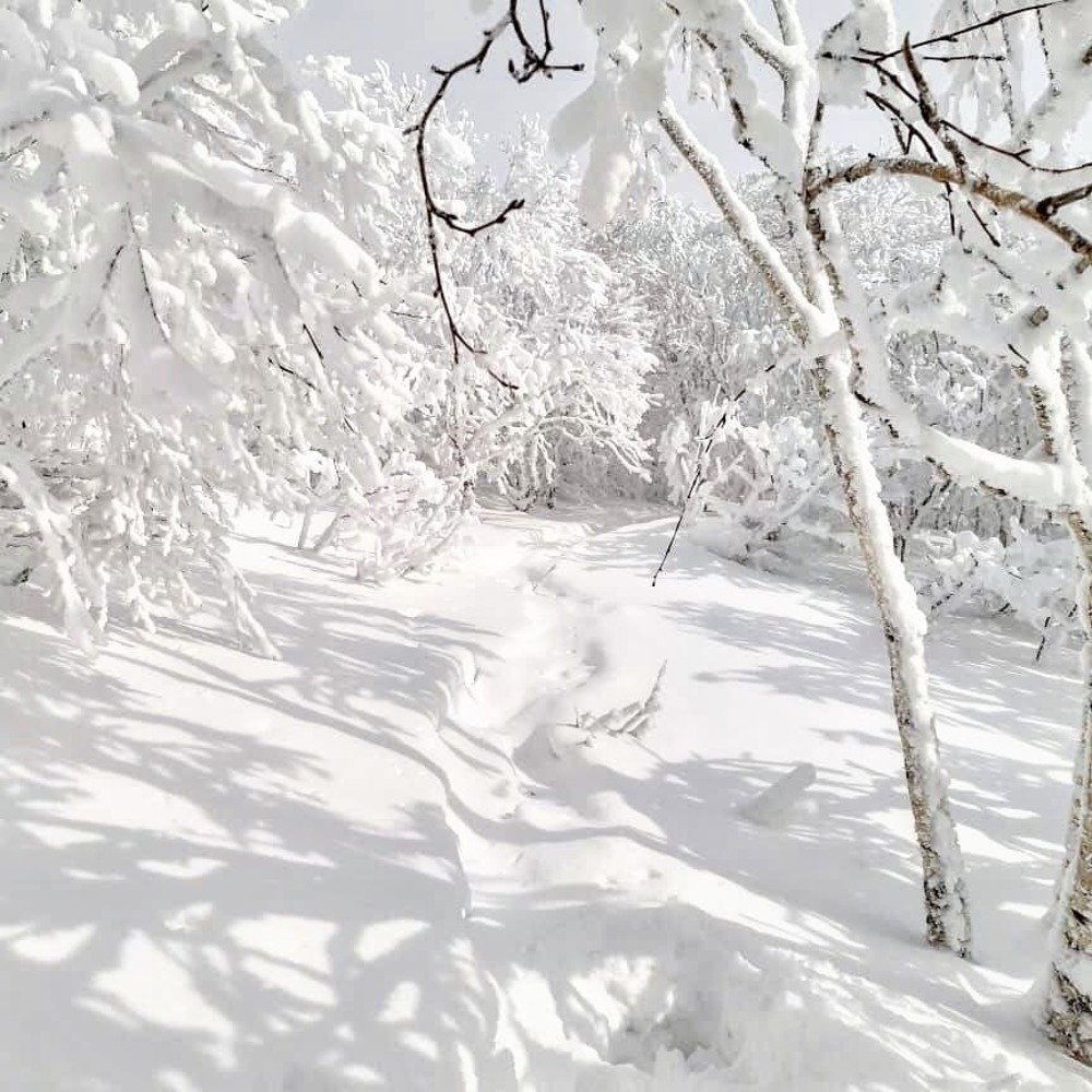 Photograph by Констанитн Борецкий