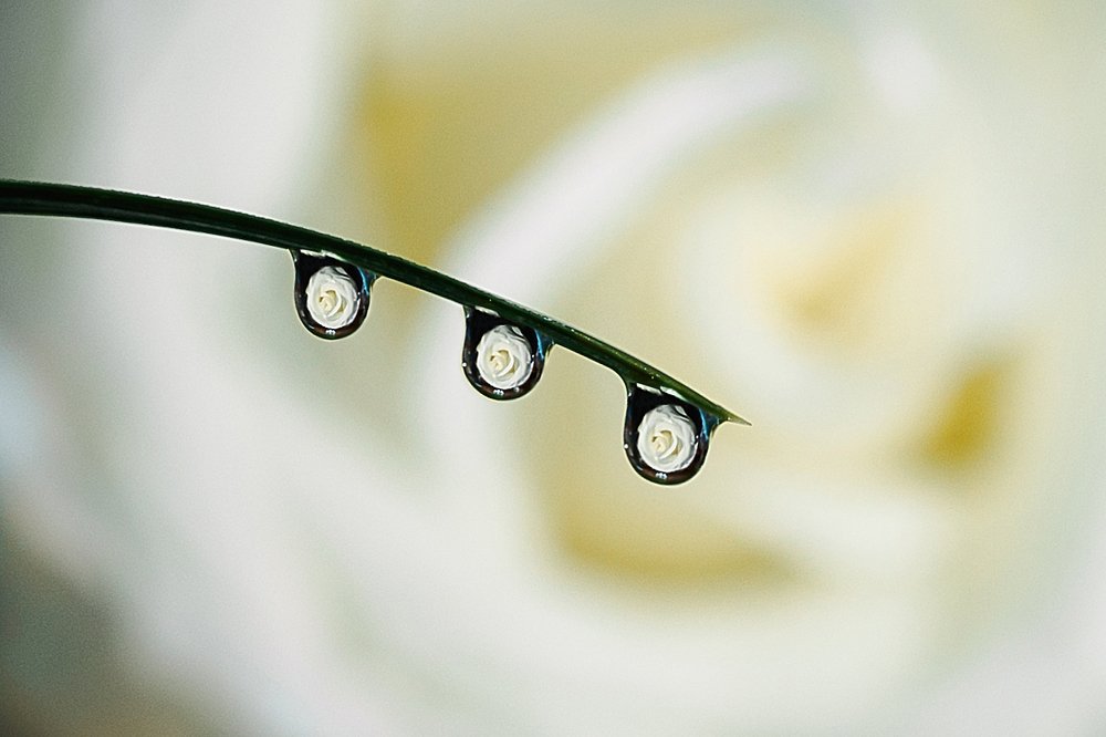 Photograph by Алена Зотова