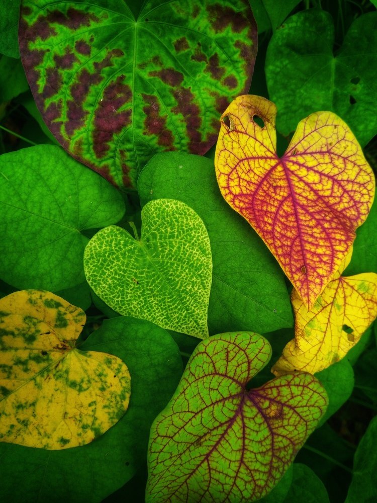 Фотография автора Parag Purkar