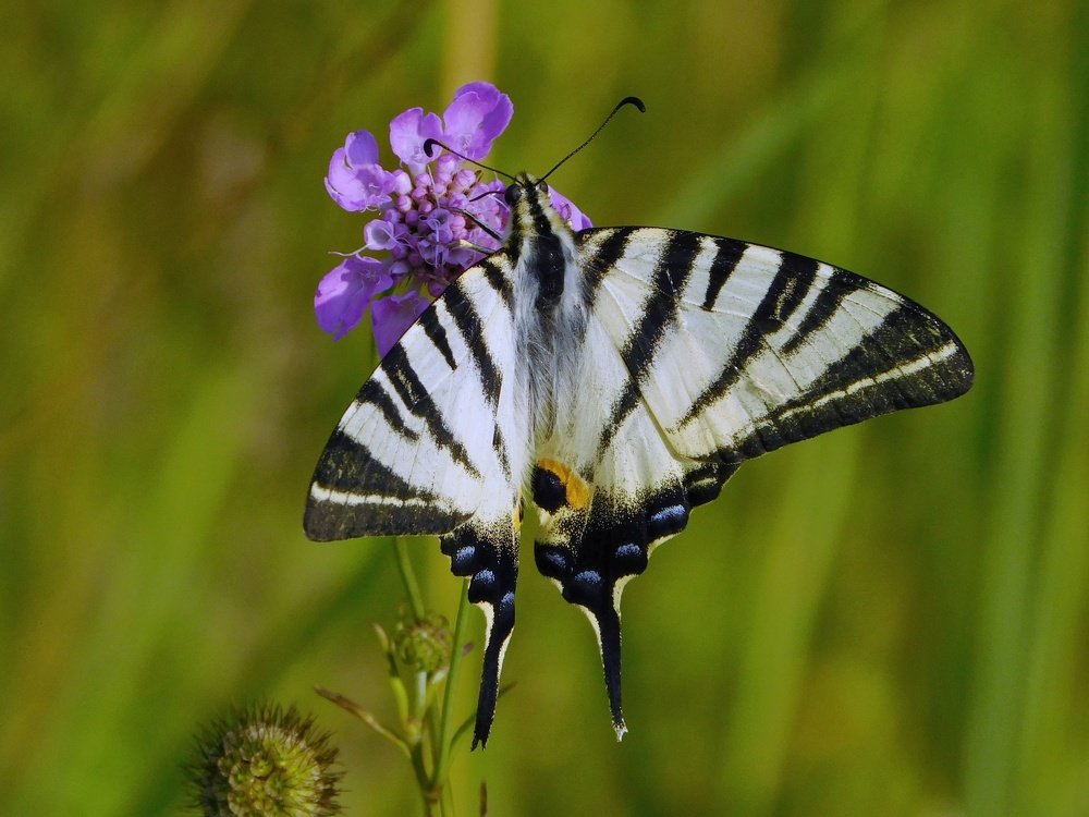 Photograph by Ana Bakic