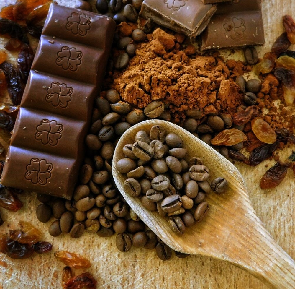 Photograph by Ana Bakic