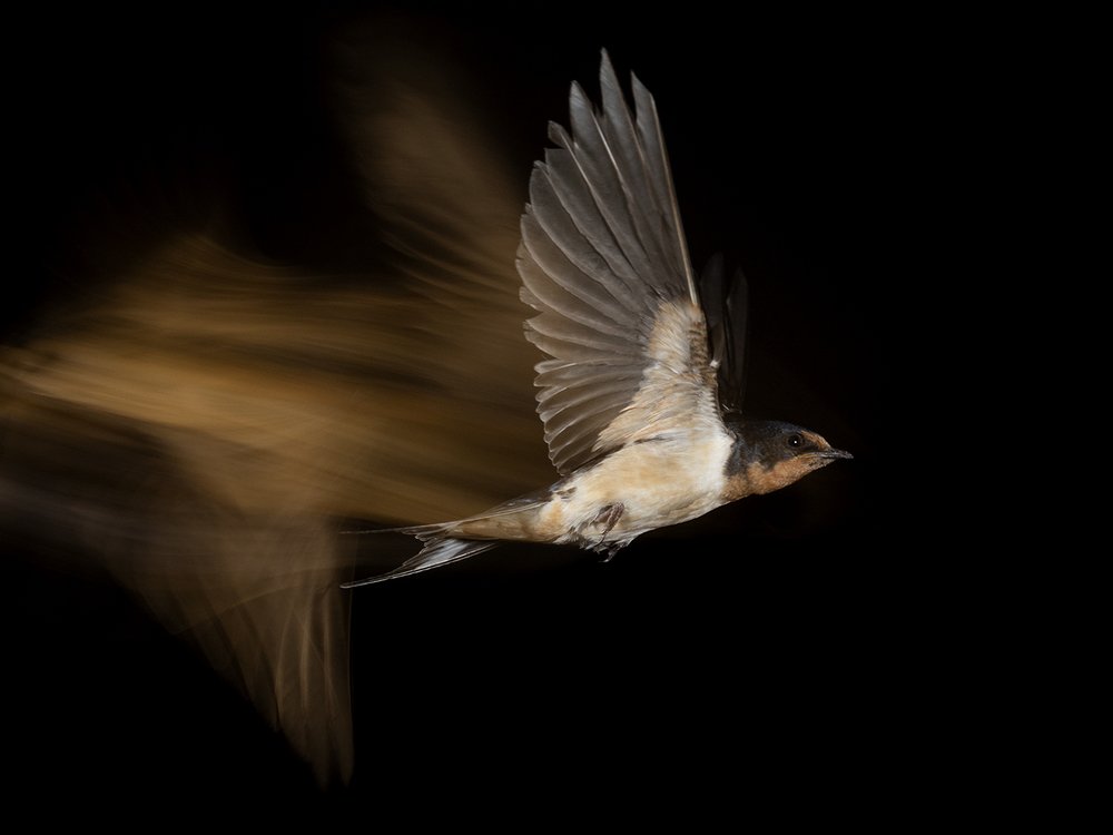 Photograph by Esteban Argerich