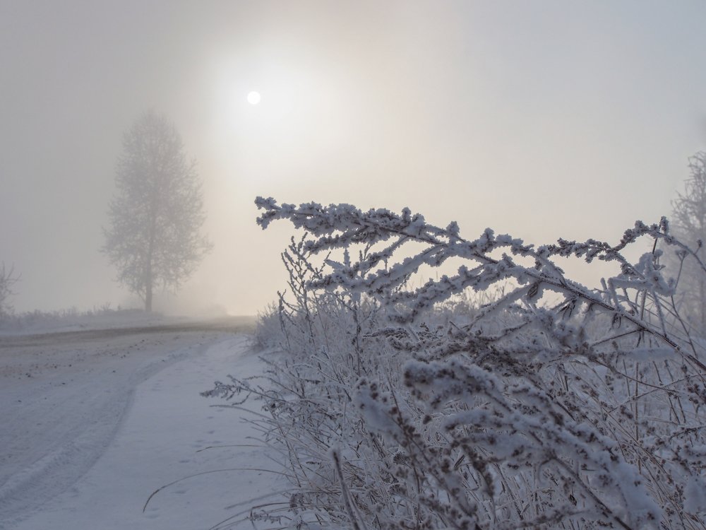 Зимний этюд.