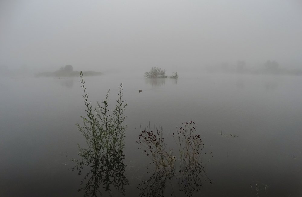 Утро туманное...
