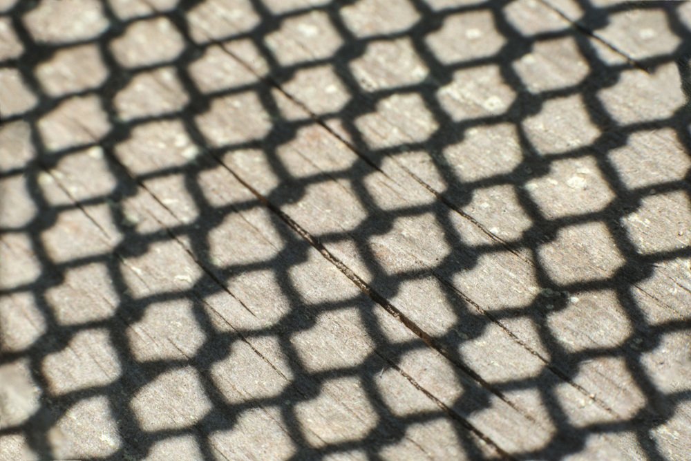 Photograph by Rimma Volchenko