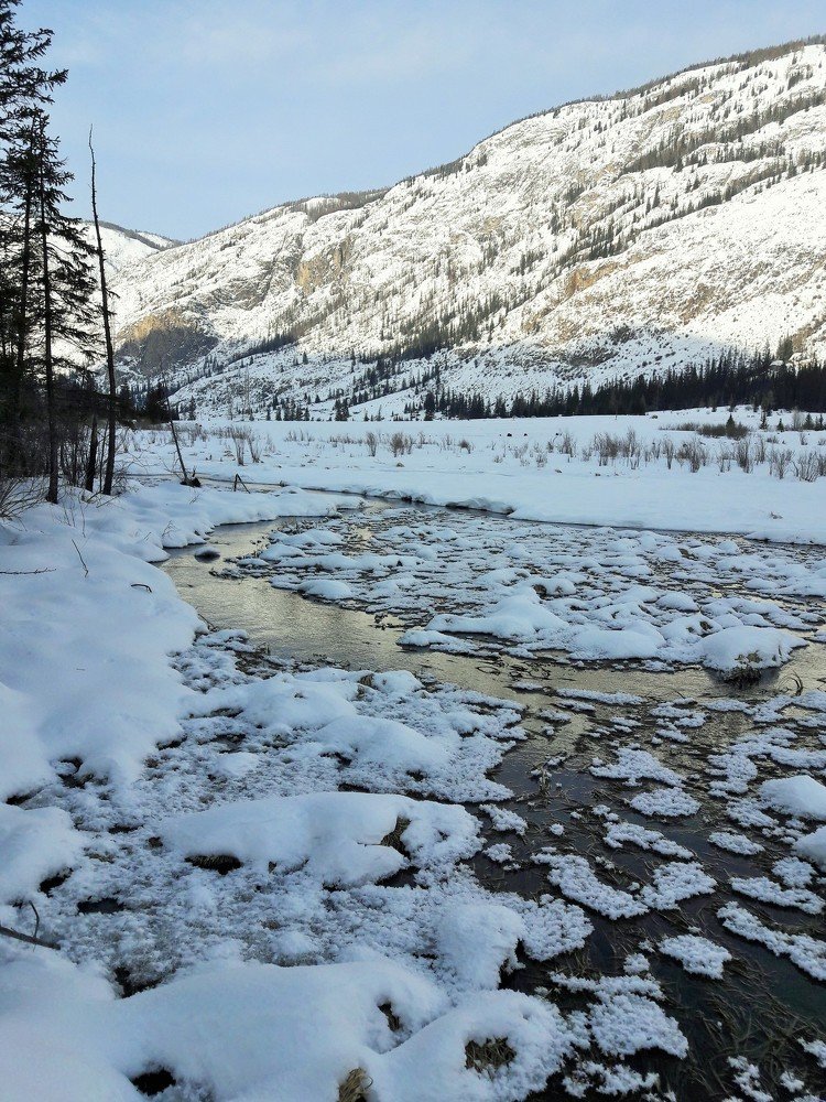 Photograph by Фурсова Людмила