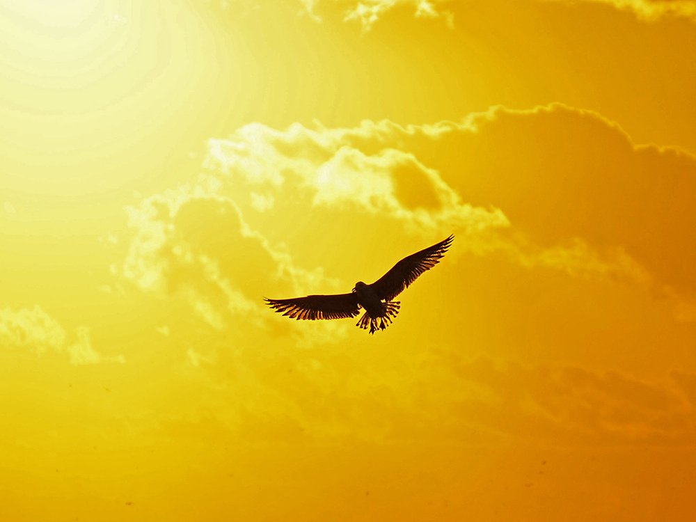 Photograph by Sevgi Duyar