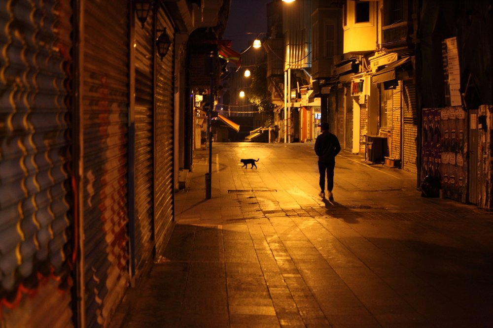 Черная кошка на темной улице