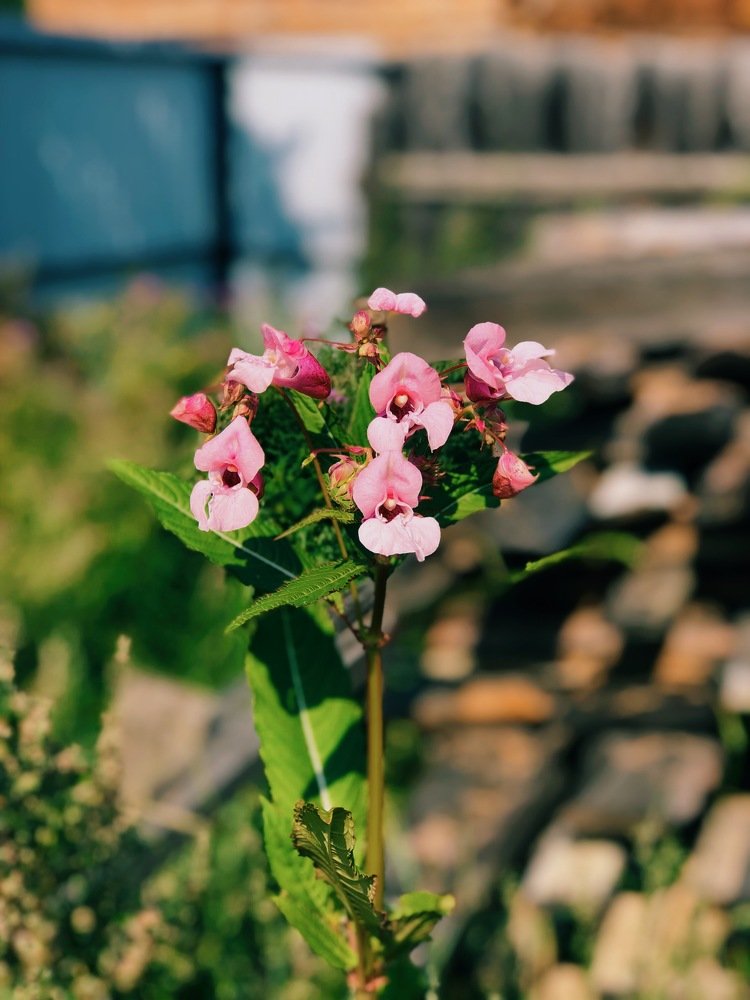 Photograph by Саргылаана Дмитриева