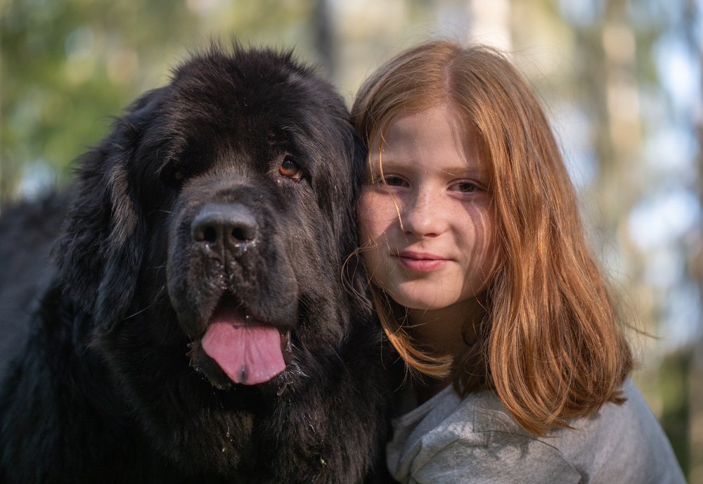 Photograph by Вячеслав Криволуцкий