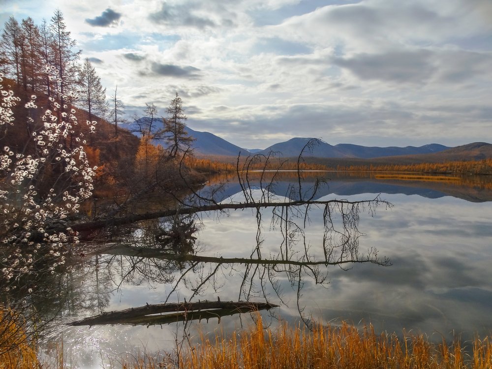 В краю озёр.