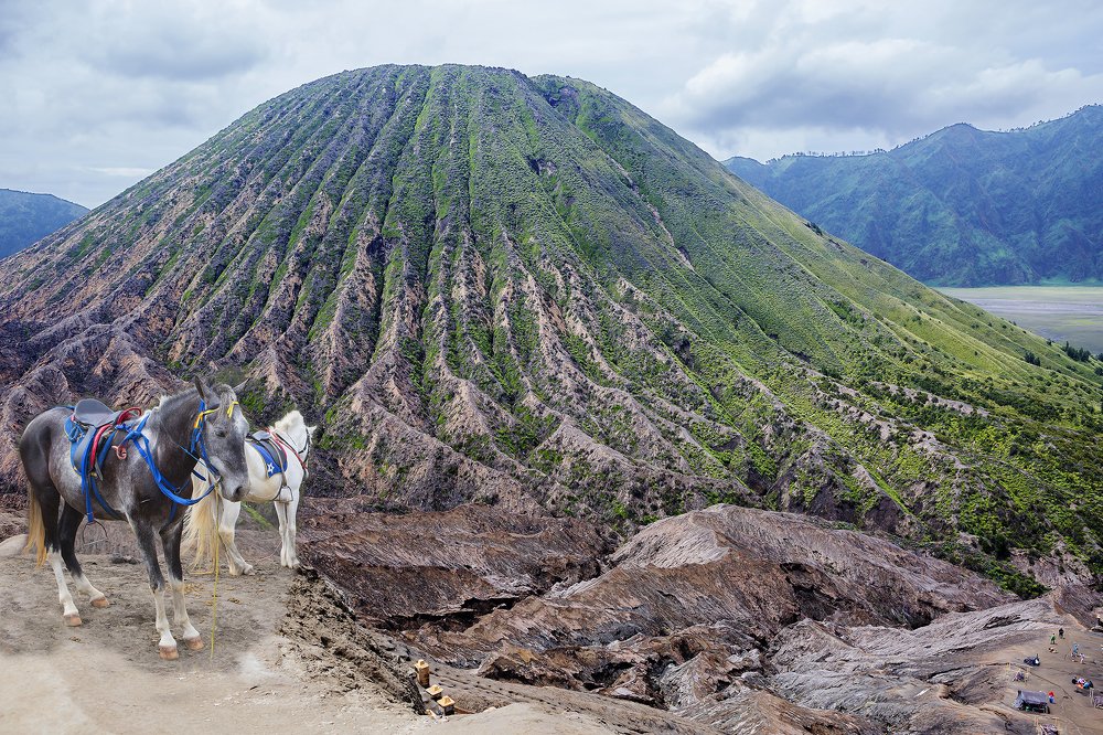 Photograph by Савина Галина