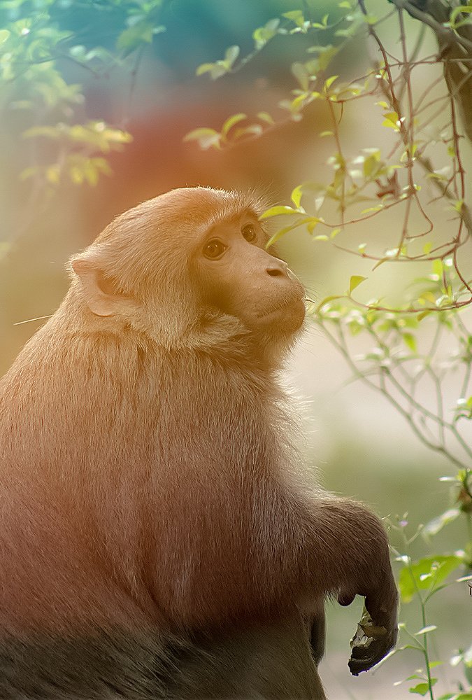 Photograph by  Arif Zayoed rifat