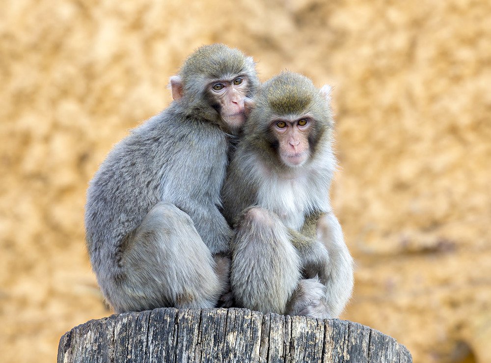 Photograph by Савина Галина