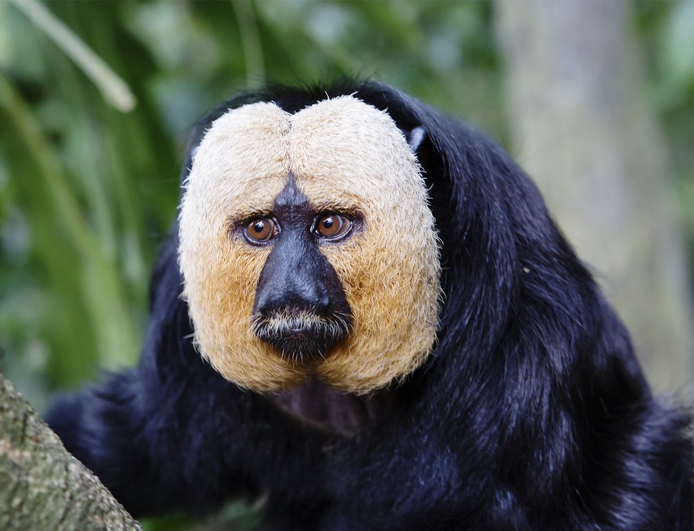 Photograph by Савина Галина