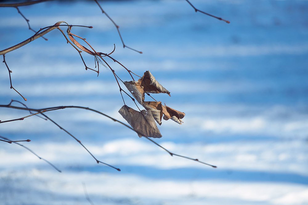 Photograph by Екатерина Ким