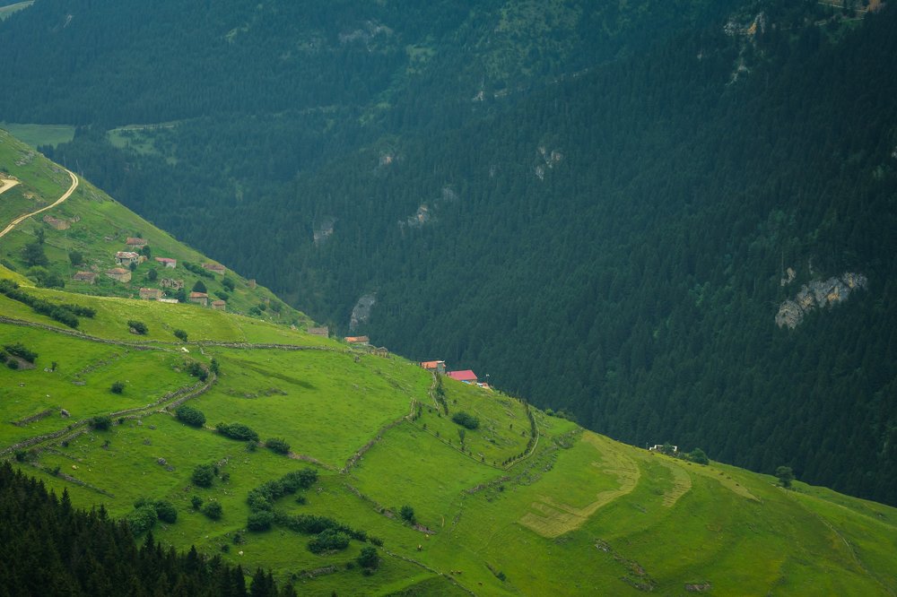 Photograph by erkan likos