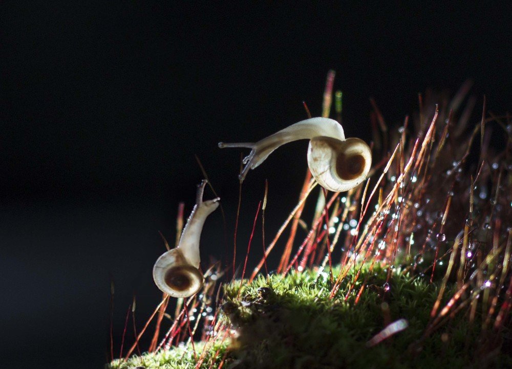 Photograph by Марина Казакова