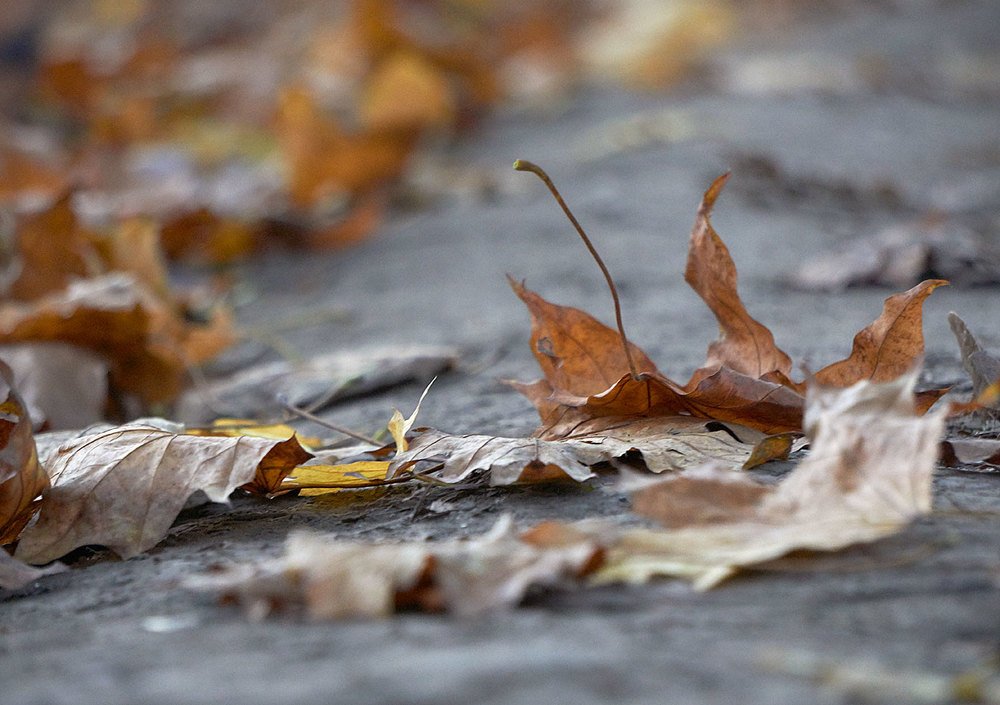 Photograph by Екатерина Ким