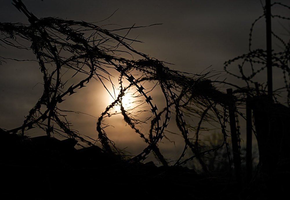 Photograph by Екатерина Ким