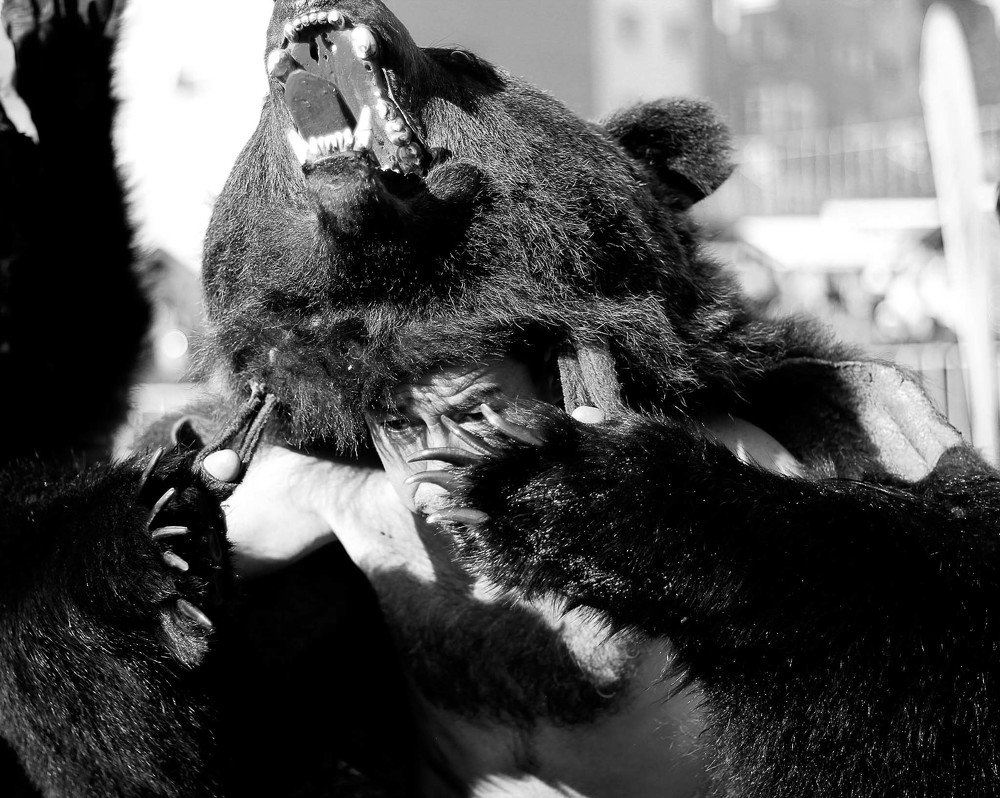 Photograph by Caruceriu Roxana