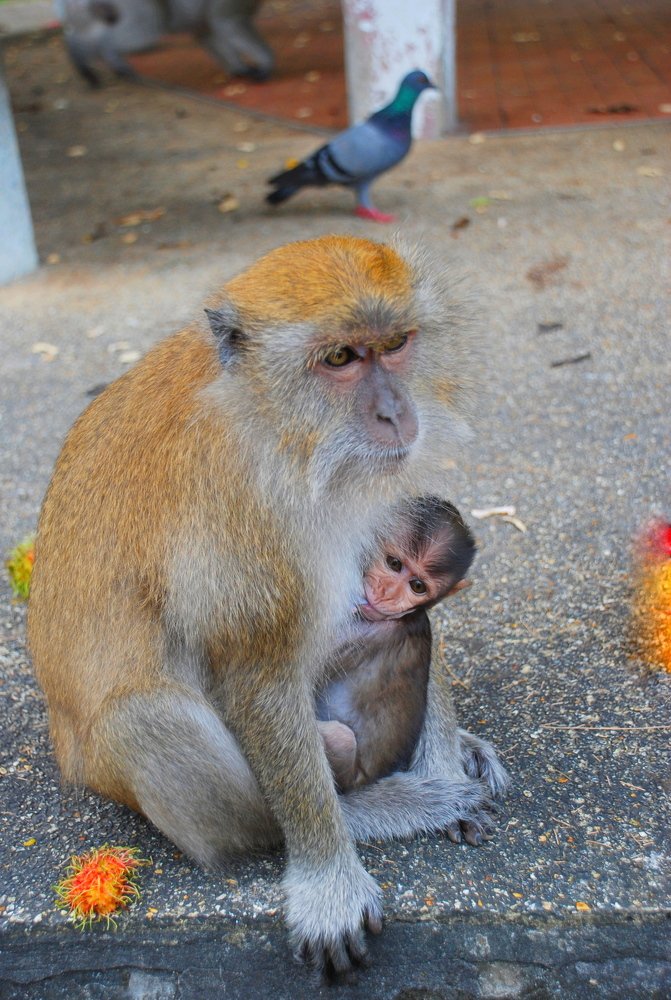 Photograph by Владимир Ларионов