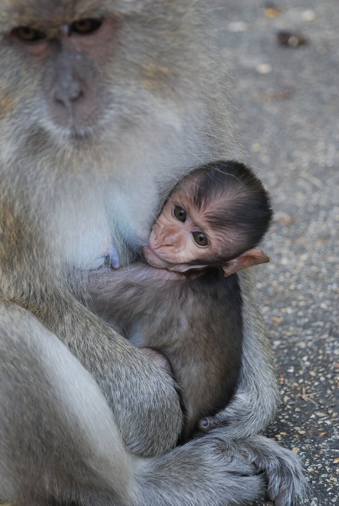 Photograph by Владимир Ларионов