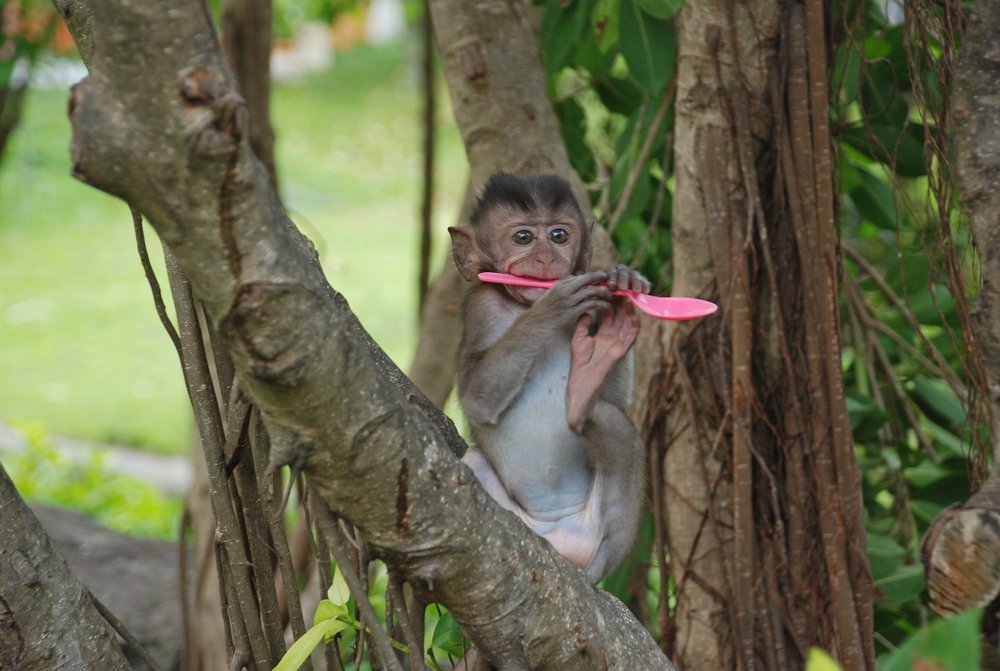 Photograph by Владимир Ларионов