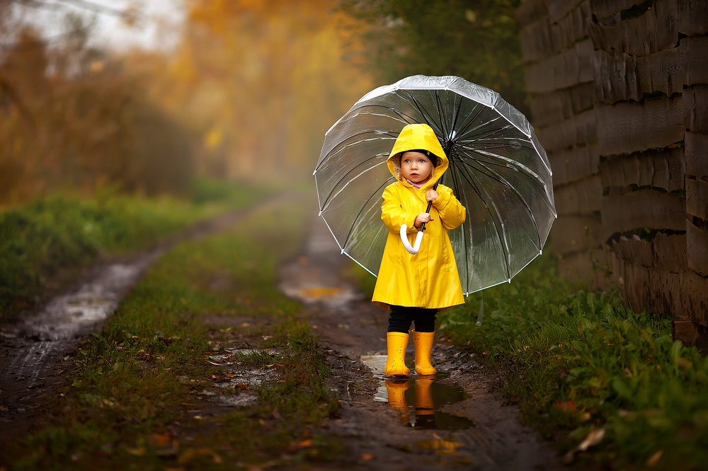 Фотография автора Александр Калинин