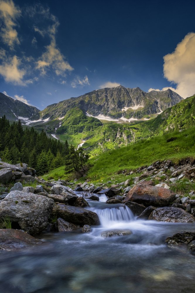 Photograph by dan tarcea