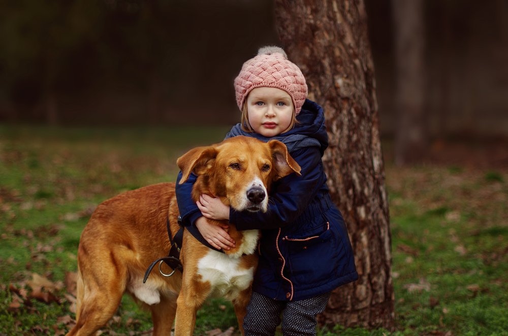 Шрек и Анфиса.