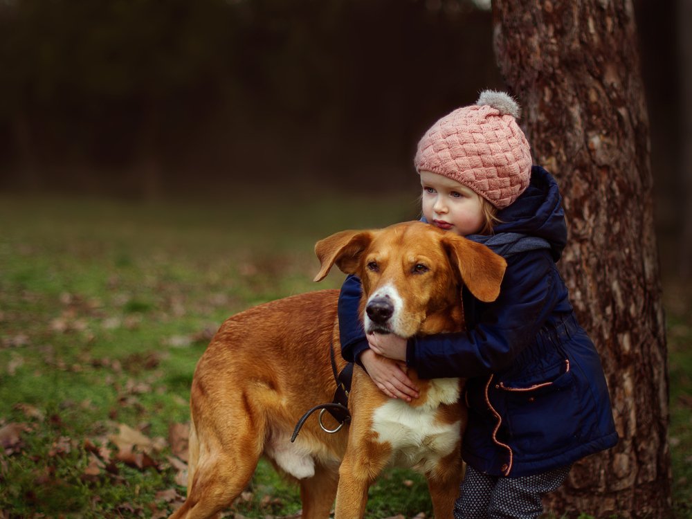 Шрек и Анфиса.