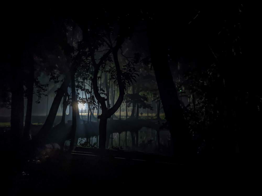 Photograph by Tapos Das