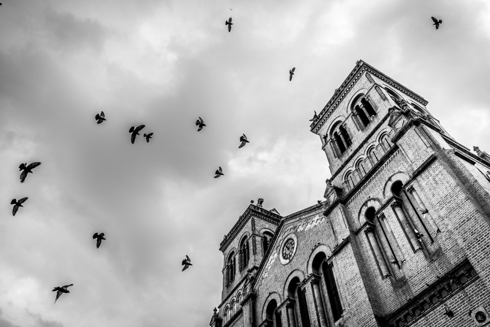 Photograph by Daniel Felipe Alvarado Correa