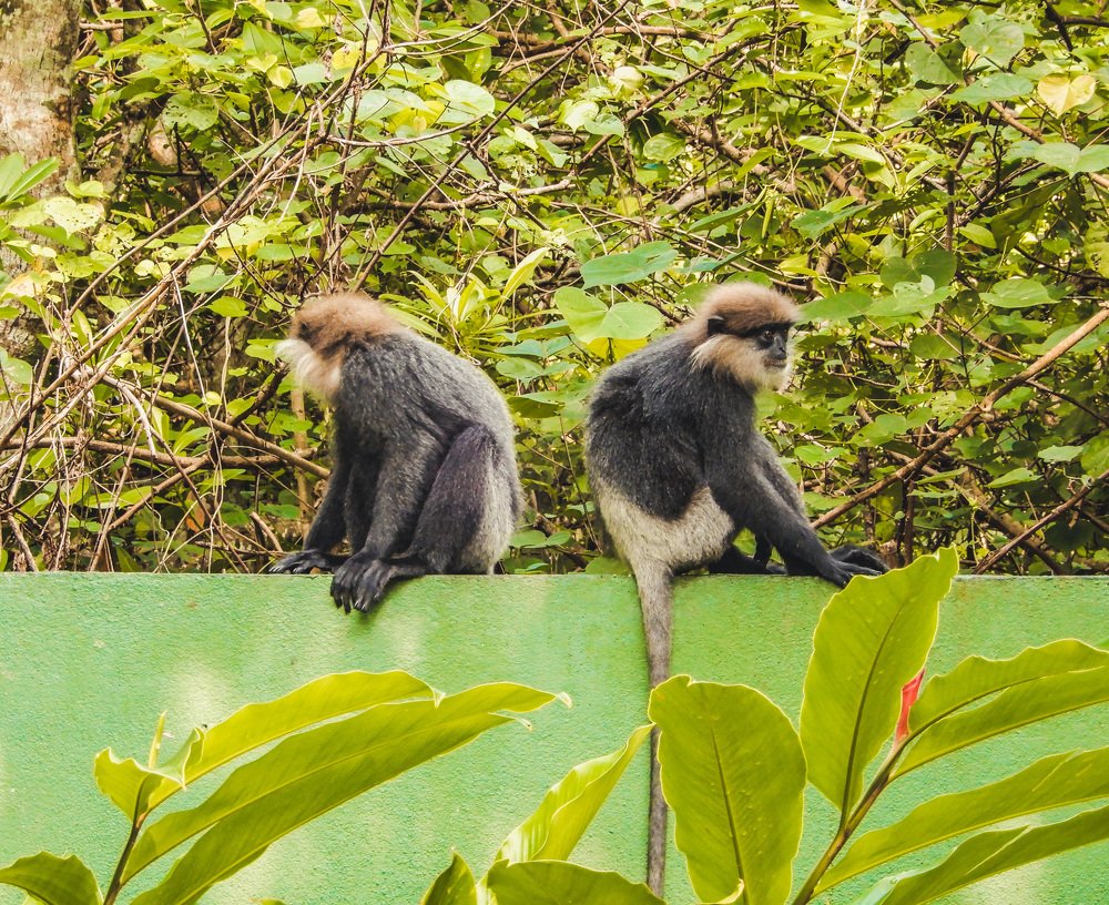 Photograph by Оксана Лукшина