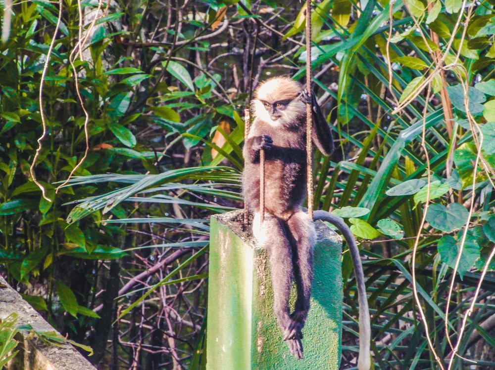 Photograph by Оксана Лукшина