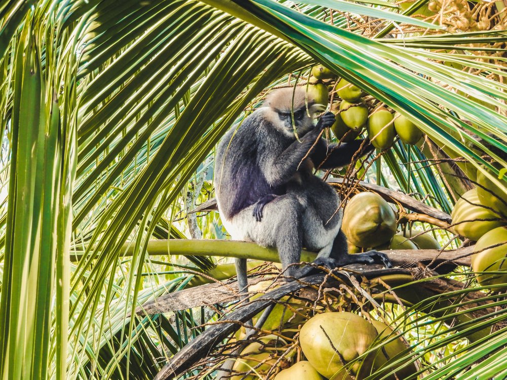 Photograph by Оксана Лукшина