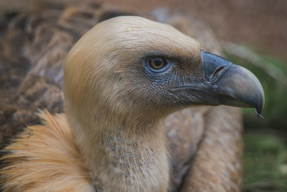 Photograph by elammouni othmane