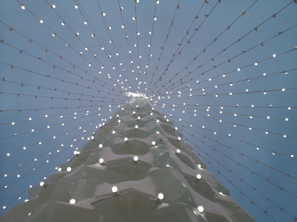 Photograph by Александра Вотякова