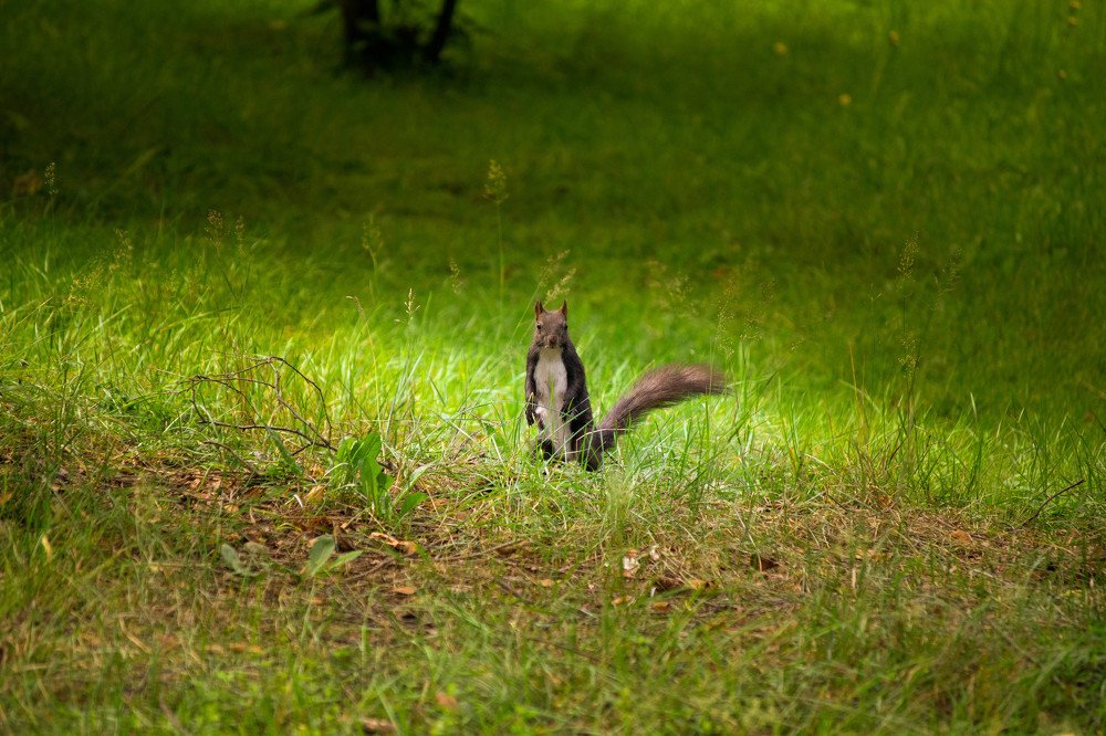 Photograph by Valentin Stefan